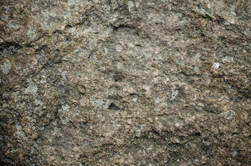 Rock surface background.