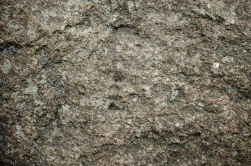 Naklejka premium Rock surface background.