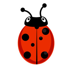 Ladybug vector icon