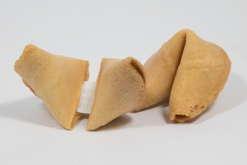Fortune Cookie