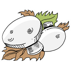 mushrooms and leaves