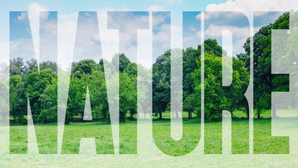 Nature sign in a green forest in the springtime

