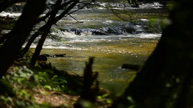 dolina rzeki Tanew a na niej wodospady 