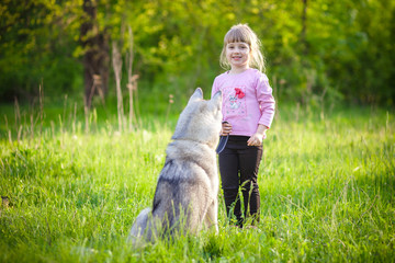 little girl in the park with a dog Husky