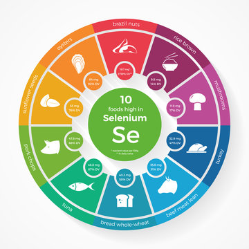 10 foods high in Selenium. Nutrition infographics. Healthy lifestyle and diet vector illustration with food icons.