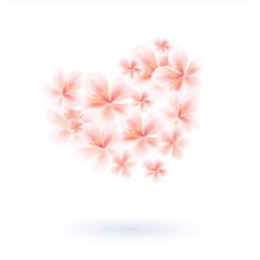 Heart with 3d effect. Sakura blossoms Flower heart. Cherry flowers Heart isolated on White with shadow. Vector