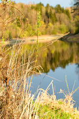 The river bank in the spring lit with the sunset sun