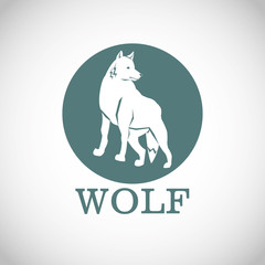 Wolf design. Animal concept.Wildlife animal, vector illustration