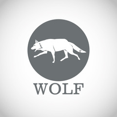 Wolf design. Animal concept.Wildlife animal, vector illustration