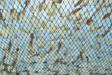 Dried squid with by sun. Drying Squid with solar energy used food preservation in Asian cuisine in fishing village in Thailand.