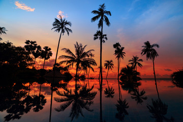 Fototapeta na wymiar Tall coconut palm trees at twilight sky reflected in water