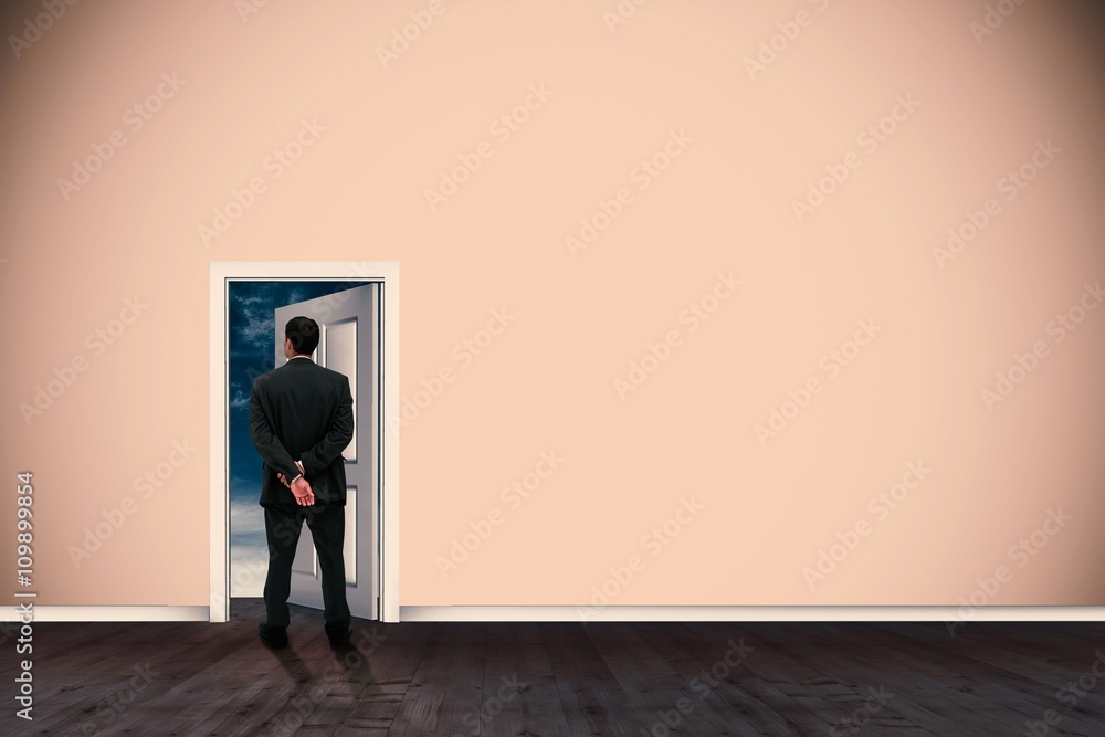 Poster composite image of rear view of classy businessman posing