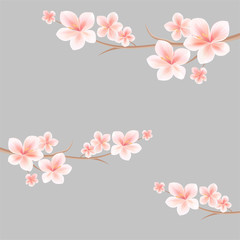 Sakura blossoms background. Branches of sakura with flowers. Cherry blossom branch on grey. Vector