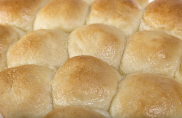 Fresh Dinner Rolls