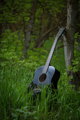 A guitar leaning against a tree in the woods