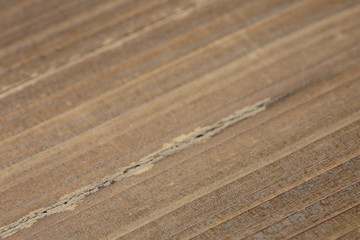 Painted wooden backgrounds