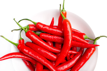 Large Red Chilli Pepper