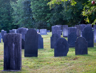 Land of the Zombies