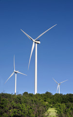 Fototapeta premium Wind Turbines in Oklahoma.