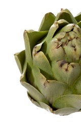 close up on artichoke