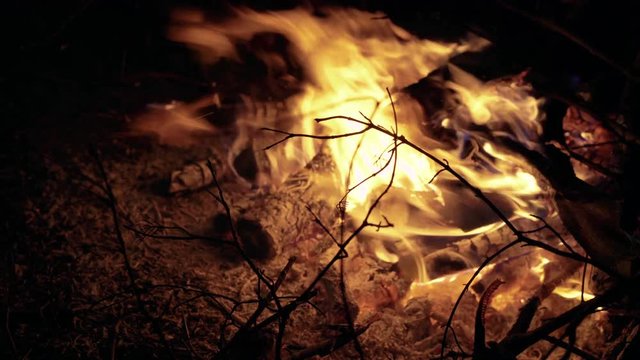 Close up campfire burning near wood. Background in 4K
