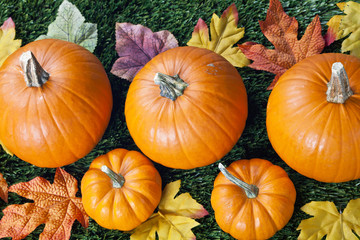 overhead view of halloween pumpkins.