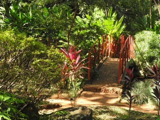 Ponte vermelha sobre lago do jardim japonês, vegetação de cores variadas meia sombra