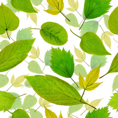 Seamless  green leaves pattern