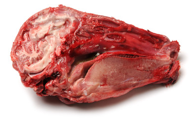 Ovis aries Domaća ovca Owca domowa Овца 綿羊 Hausschaf Sheep Juh Ոչխար Oaie domestică © Comugnero Silvana