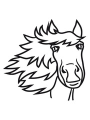 face head beautiful horse pony stallion riding white comic cartoon