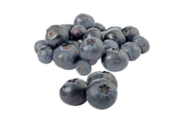 fresh blueberry fruits