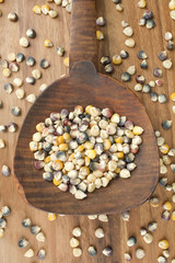spilled assorted beans on the wooden spoon