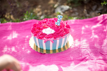 cake smash pink cake with blue and white stripes