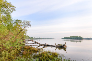 Fototapeta na wymiar View of the Dnieper River at morning