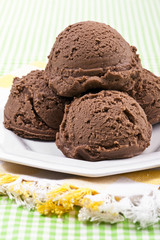 a plate with creamy chocolate ice cream