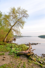Fototapeta na wymiar View of the Dnieper River at morning