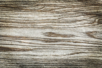 Fototapeta premium Wood texture