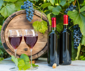 Vinnaya theme.