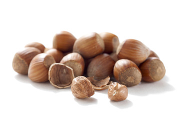 heap of hazelnuts