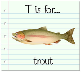 Flashcard letter T is for trout