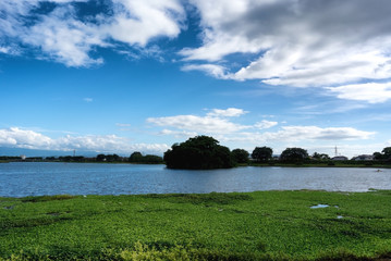 静かな湖【江津湖｜熊本】