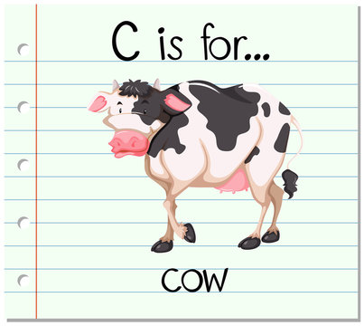 Flashcard letter  C is for cow
