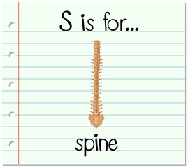 Flashcard letter S is for spine