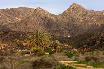 Dry mountain landscape of Southern Spain