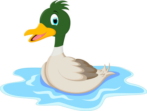 Cartoon ducks on water