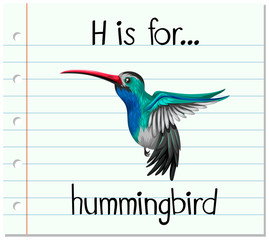 Flashcard letter H is for hummingbird
