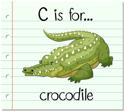 Flashcard letter C is for crocodile