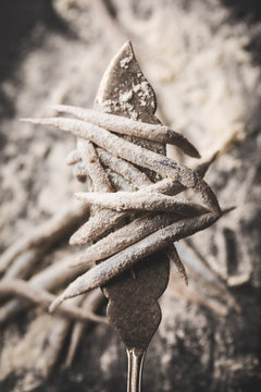 Chef Preparing Delicious Sand Eels