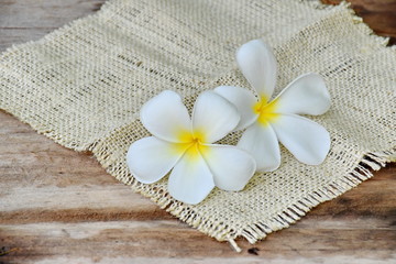 Fototapeta na wymiar beautiful white Plumeria flowers on wooden table 