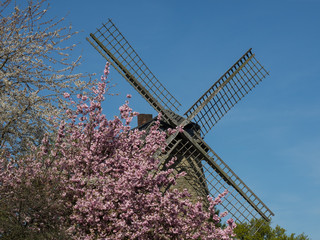 Mühle im Münsteralnd
